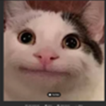 Adopt me! Custom Pets