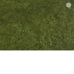 Bomb feild test