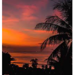 Official Sunset Group