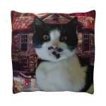 Barsik Butcher House pillow