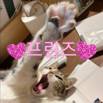 프린즈