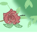 the red roses group