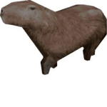 agua de patas