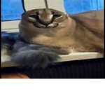 Frebby Fabur Amogus