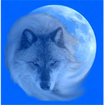 Howling Moon