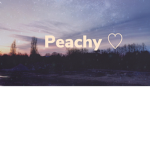 Peachy Lily