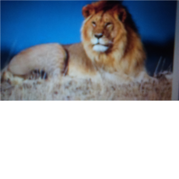 TheBrokenDiamonds's Place