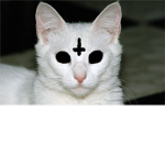 CatGod-Clothing group