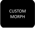 Custom Morphs Making