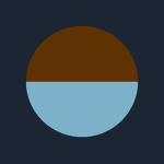 The 51st Australian Battalion