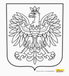 Polish orlen Champions