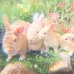 ʚ Ayrixella's Fairy Garden ɞ