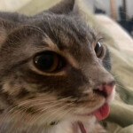 Название потом придумаю