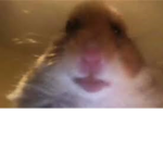 marmoud98