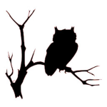 Black Owls [Ro-Ghoul]