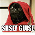 SRSLY GUISE