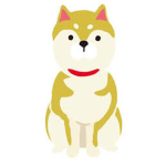 Doge Meme Studios