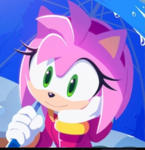 The Amy Rose Fan Community Group!