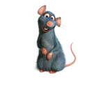 rats nest!