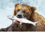 The TedEBeary family!