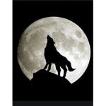 The Lunar Moon Wolfs