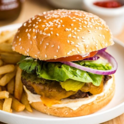 Project: Modecheeseburgerextrafriespls