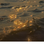GoldXx