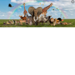 A rumble of animals