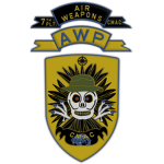 7th Air Weapons Platoon