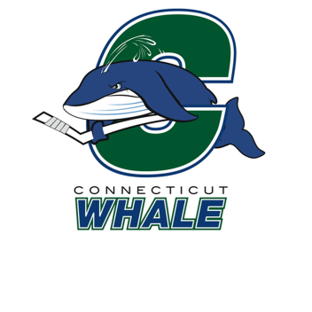 CT Whales Hockey outdoor  rink in North East CT