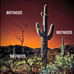 Jack cactus