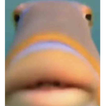 Hi_Hello