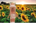 Sunflower Army's
