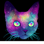 galaxy cat fan group!!!:)