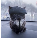 Flatcap Empire!