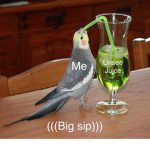 Pp kids