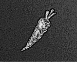 Diamond Carrot Studios