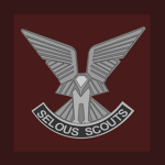 Selou Scouts