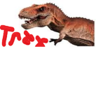 THE REX WILL TEXT