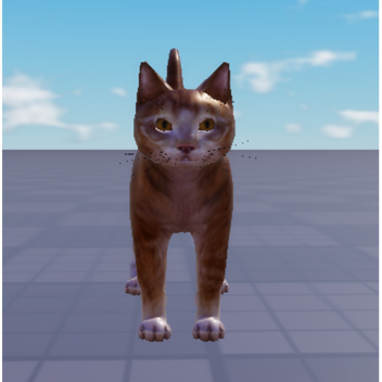 Catalog Avatar Editor