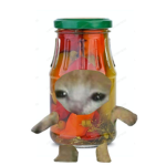 Team nugget <3