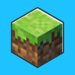 Build & Survive Games