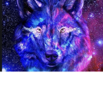 Galaxy clan fan club