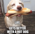 Hot Dog Diggity Dog Group