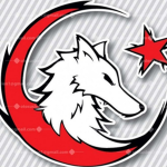 AIR WOLVES
