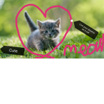 Ima kitten!