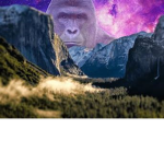 Harambe fan club !