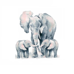 Ella's Elephant Club