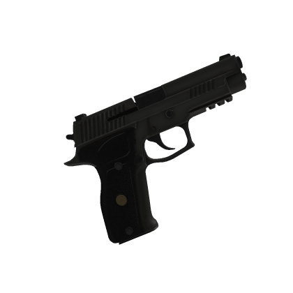 [CGK] SIG Sauer P226