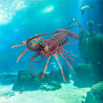 Mobster Lobster